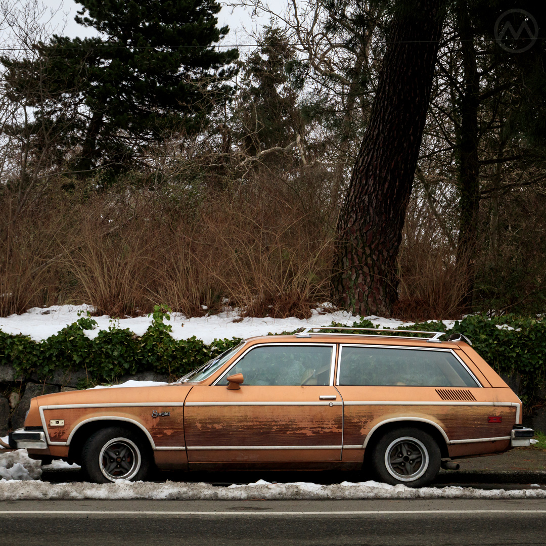 1977 Pontiac Sunbird Station Wagon