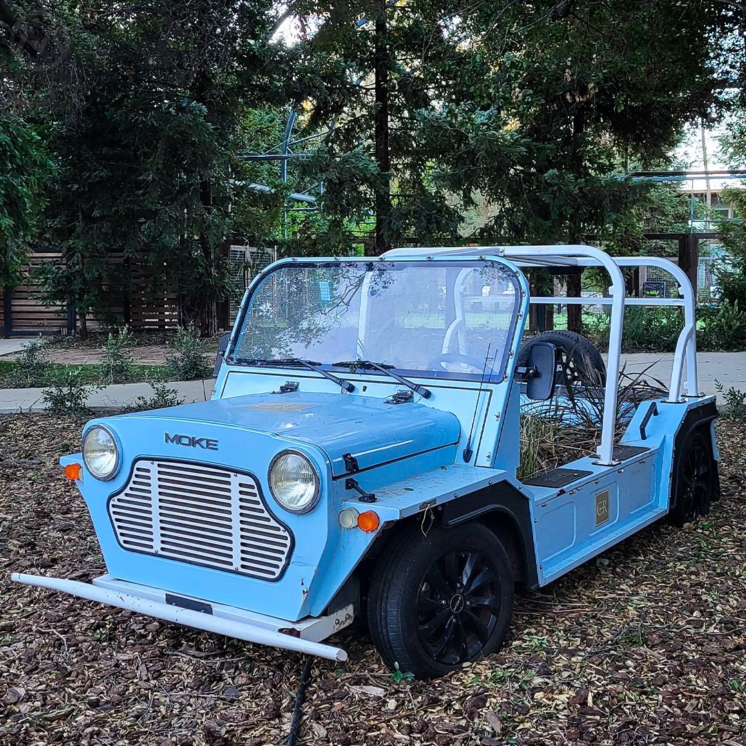 2020 New Moke