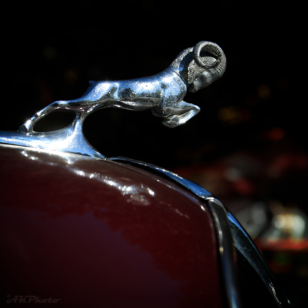 1936 Dodge Hood Ornament