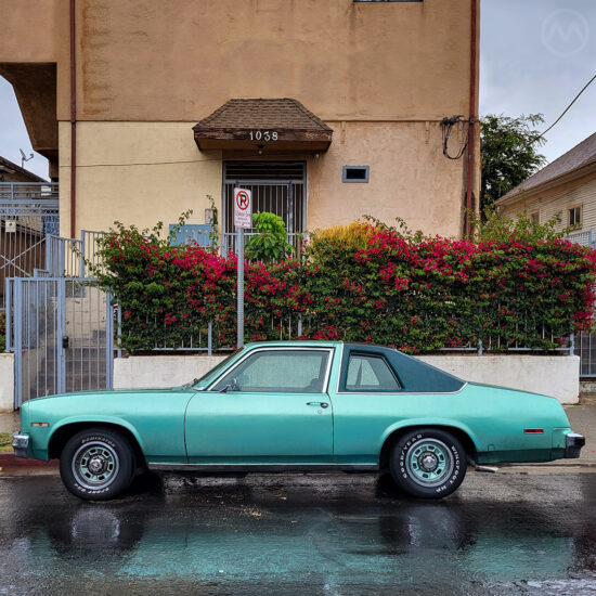 1977 Chevrolet Nova Concours Side View