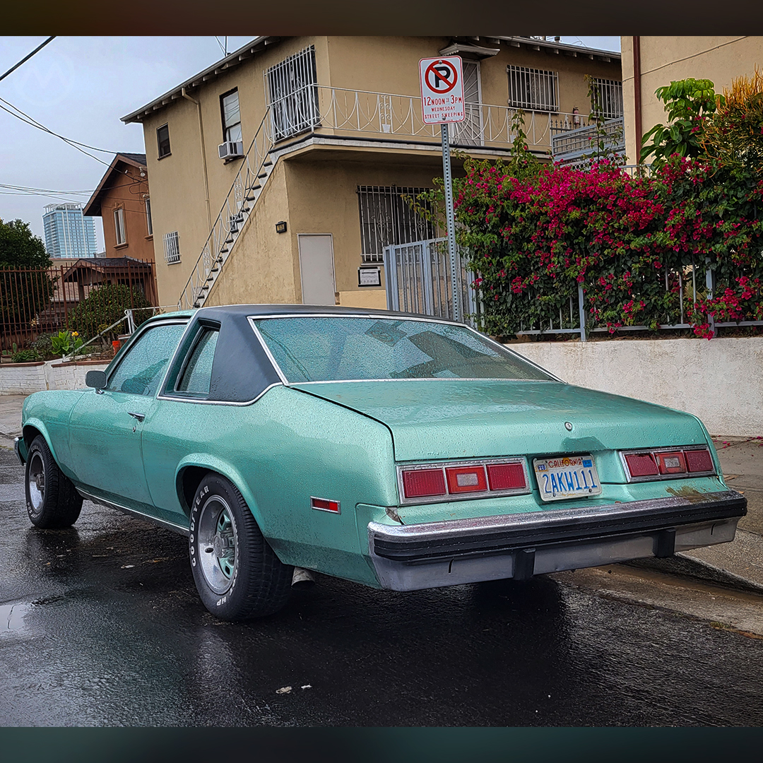 1977 Chevrolet Nova Concours rear View